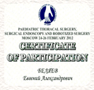 Certificate of participation. Paediatric thoracal surgery, surgical endoscopy and robotized surgery.